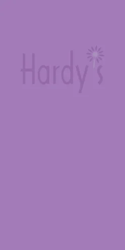 LAMIUM Maculatum 'Album'