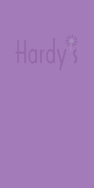 HEUCHERELLA 'Freefolk Stars' 3 HEUCHERELLA 'Freefolk Stars'