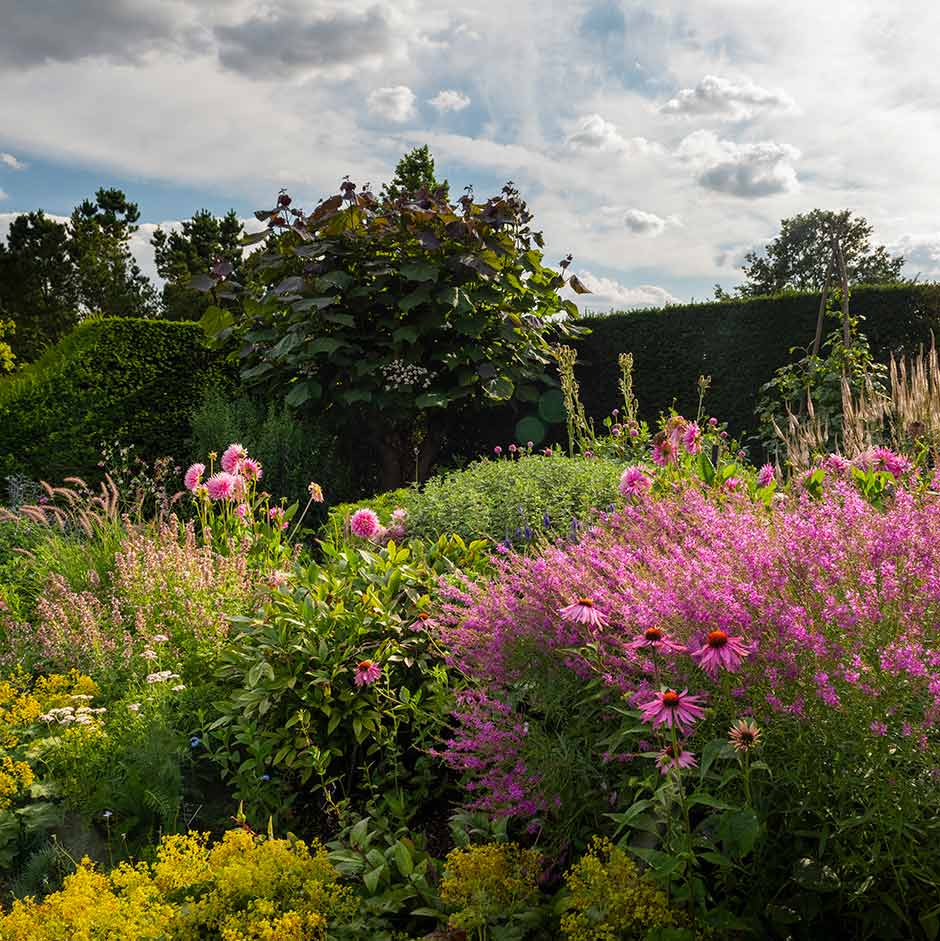 Garden Grace Store -Garden Grace Store border design